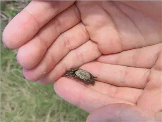 small_021019 hilton headIMG_9155.webp